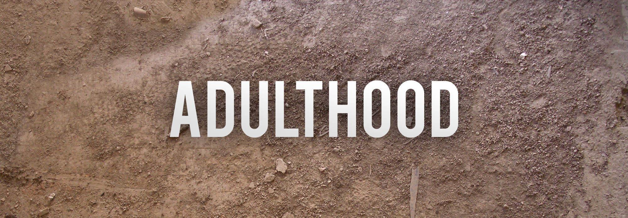 And I Dare You to Survive