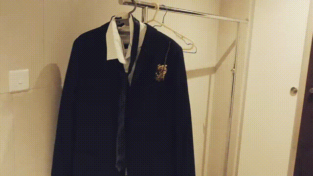 Grief (is the Thing with) Feathers