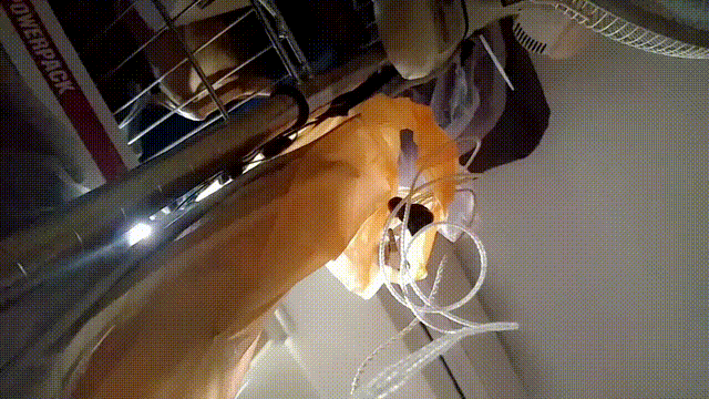 Protected: Rewind, Reprise