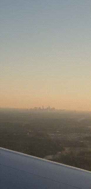 Toilet-Urgent Fever Dream