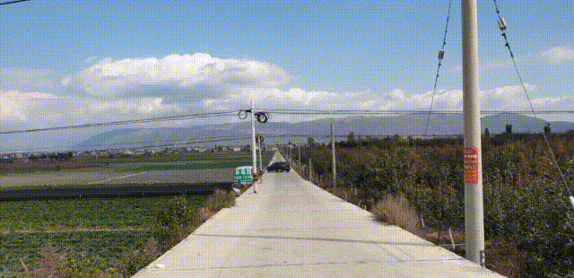 Anaphylactic and Super Hypochondriactic (Twenty-Six)