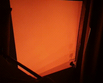 More Than You Can Chew